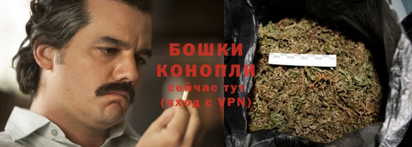 гашик Белокуриха