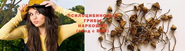 индика Белоозёрский