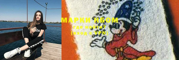 индика Беломорск