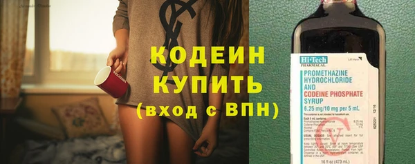 индика Беломорск