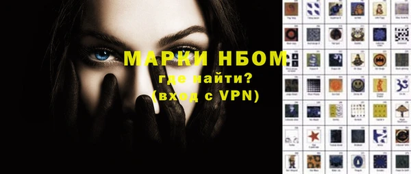 индика Беломорск