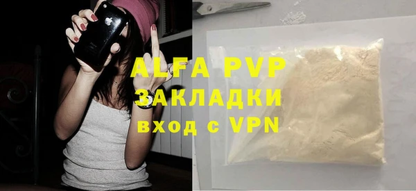 индика Белоозёрский
