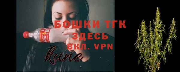 гашик Белокуриха