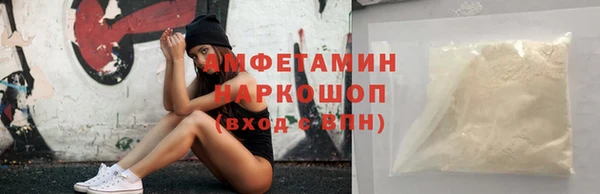 индика Беломорск