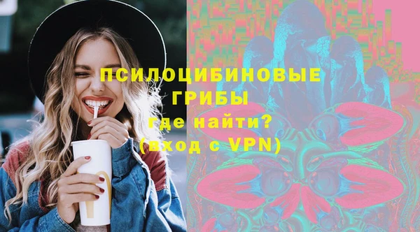 индика Беломорск