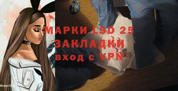 индика Белоозёрский