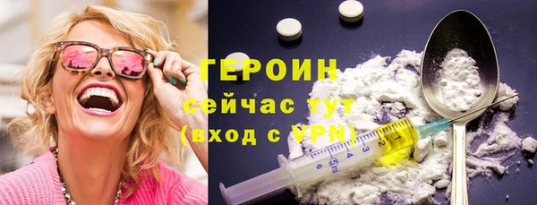 индика Беломорск