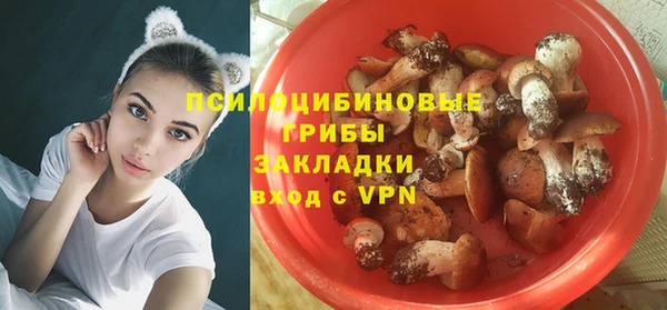 индика Белоозёрский