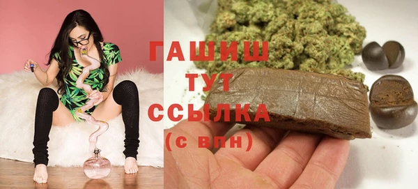индика Беломорск