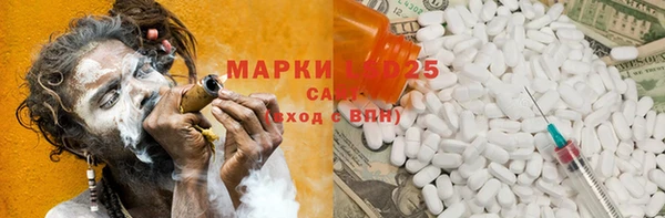 индика Белоозёрский