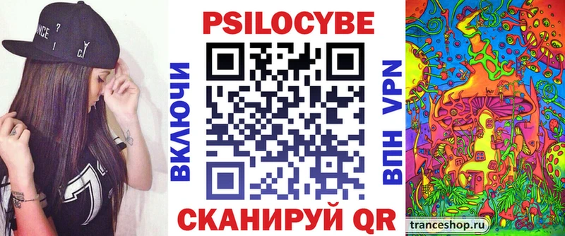 купить наркотик Видное Галлюциногенные грибы Psilocybe