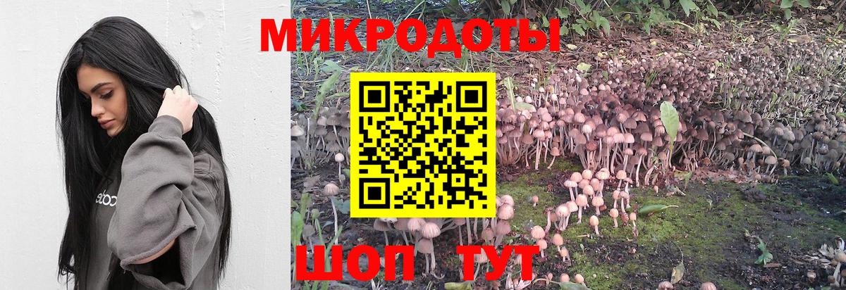 Псилоцибиновые грибы GOLDEN TEACHER  Видное  Псилоцибиновые грибы мицелий 