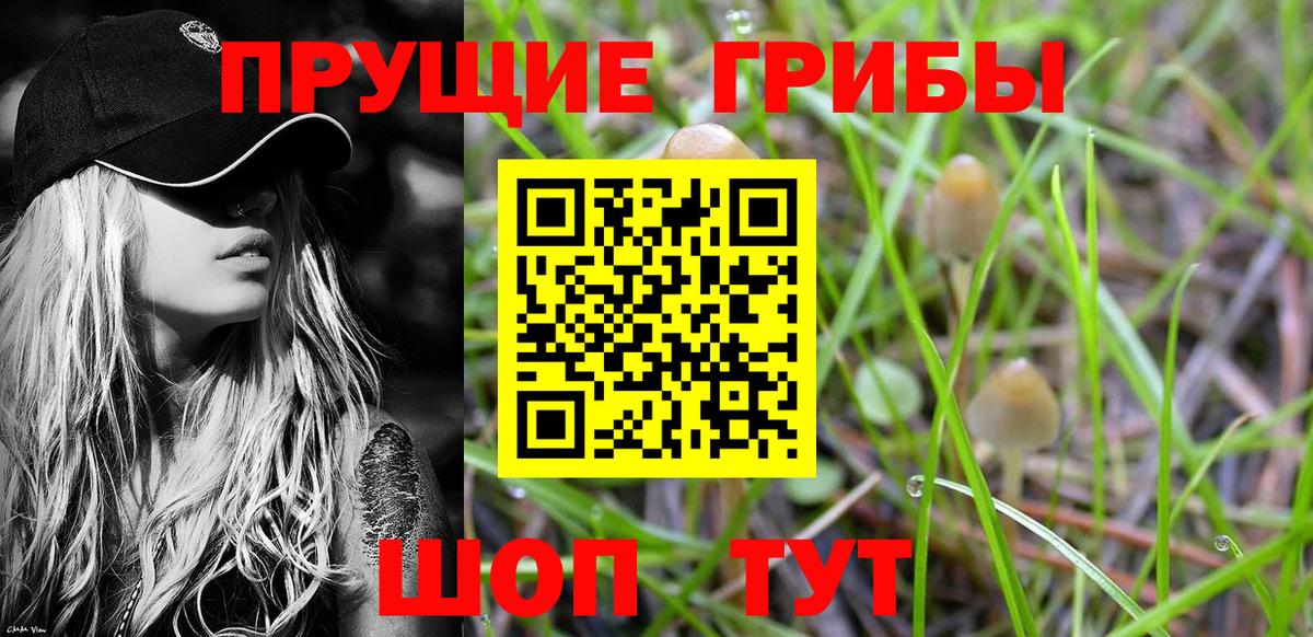 Галлюциногенные грибы MAGIC MUSHROOMS Видное