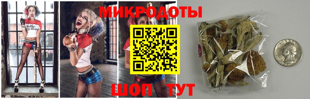 Галлюциногенные грибы Cubensis Видное