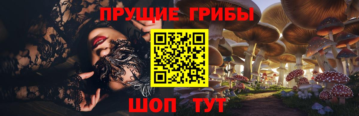 Псилоцибиновые грибы Psilocybe  Вход с VPN  Видное  магазин продажи   Галлюциногенные грибы MAGIC MUSHROOMS 